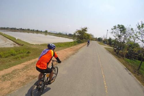 Two cyclists riding along a road beside rice paddies in Vietnam
